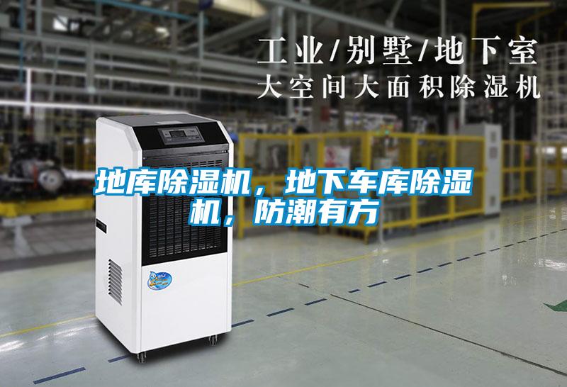 地庫(kù)除濕機(jī)，地下車(chē)庫(kù)除濕機(jī)，防潮有方