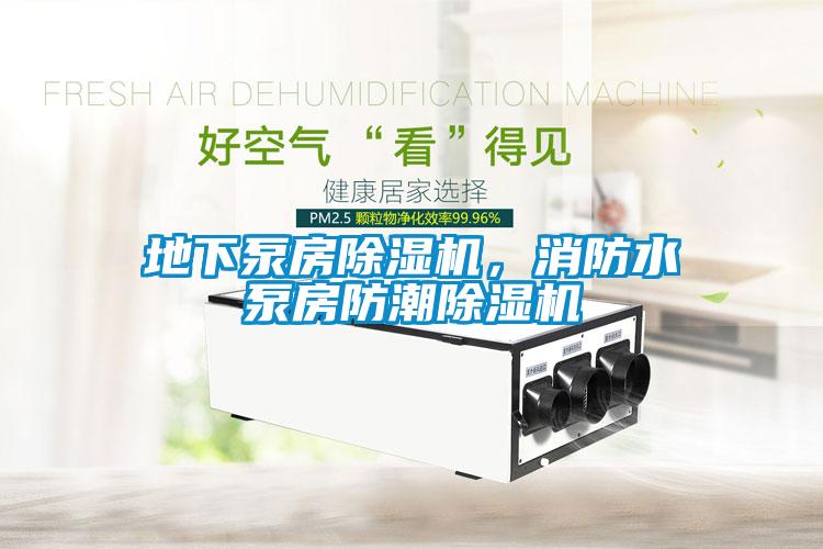 地下泵房除濕機，消防水泵房防潮除濕機