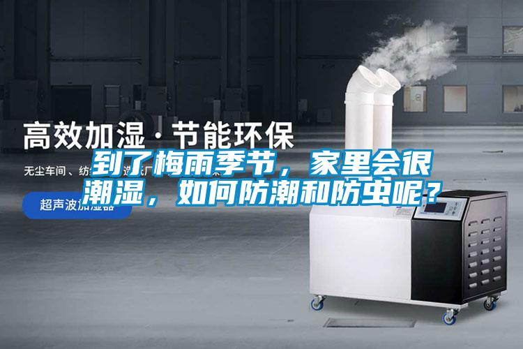 到了梅雨季節(jié)，家里會很潮濕，如何防潮和防蟲呢？