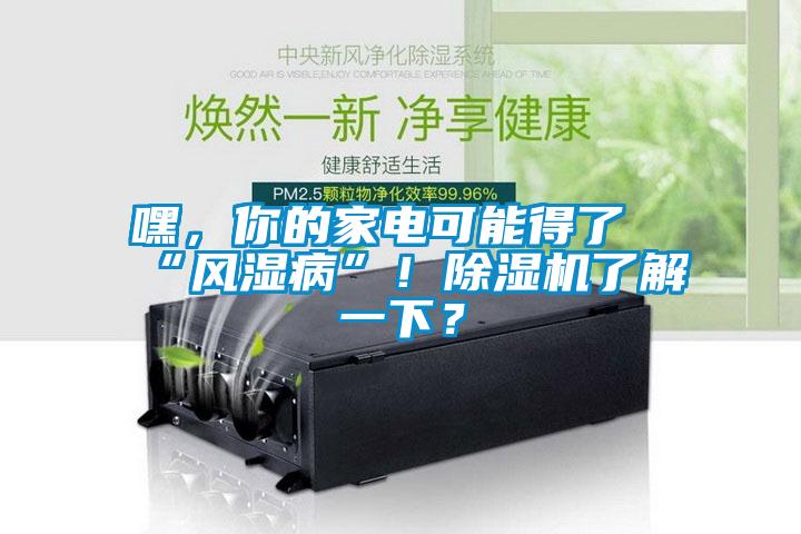嘿，你的家電可能得了“風(fēng)濕病”！除濕機了解一下？