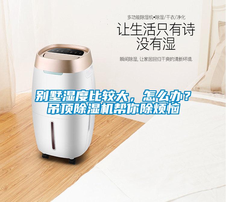 別墅濕度比較大，怎么辦？吊頂除濕機(jī)幫你除煩惱