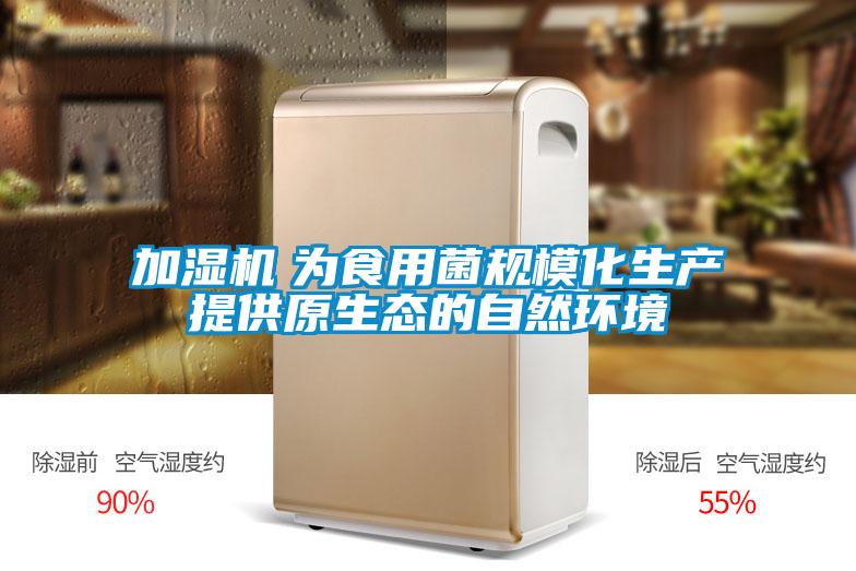 加濕機　為食用菌規(guī)?；a(chǎn)提供原生態(tài)的自然環(huán)境