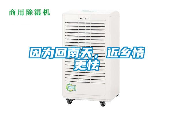 因為回南天，近鄉(xiāng)情更怯