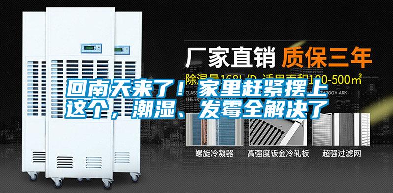 回南天來了！家里趕緊擺上這個，潮濕、發(fā)霉全解決了