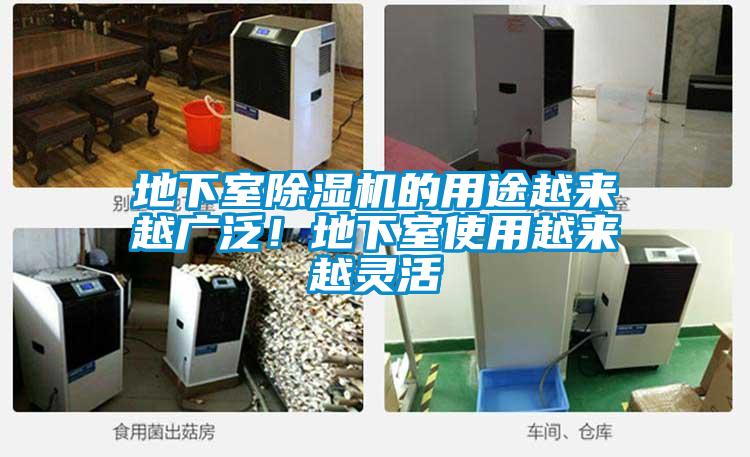 地下室除濕機的用途越來越廣泛！地下室使用越來越靈活