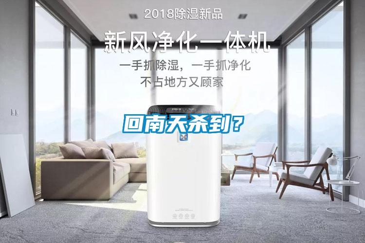 回南天殺到？