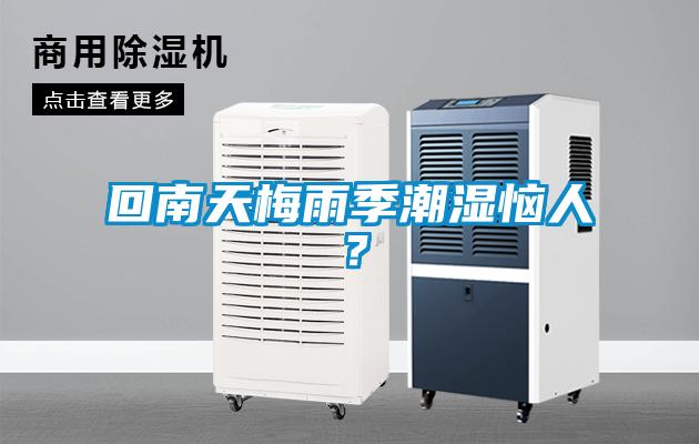 回南天梅雨季潮濕惱人？