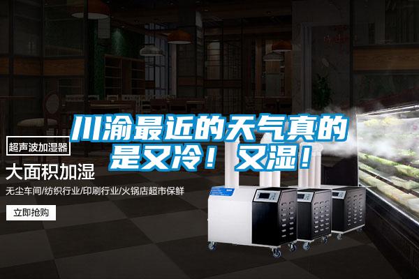 川渝最近的天氣真的是又冷！又濕！