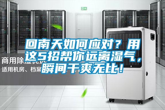 回南天如何應(yīng)對？用這5招幫你遠(yuǎn)離濕氣，瞬間干爽無比！