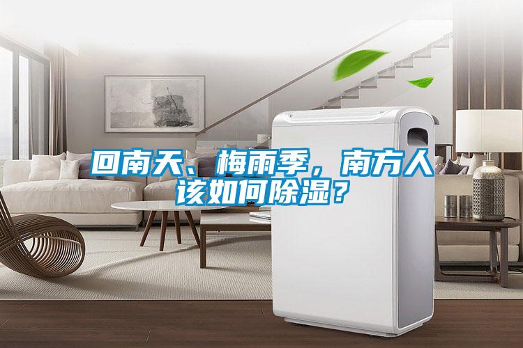回南天、梅雨季，南方人該如何除濕？