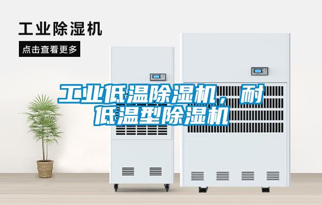 工業(yè)低溫除濕機(jī)，耐低溫型除濕機(jī)