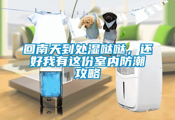 回南天到處濕噠噠，還好我有這份室內(nèi)防潮攻略