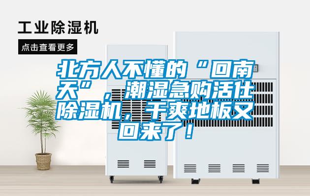 北方人不懂的“回南天”，潮濕急購活仕除濕機，干爽地板又回來了！