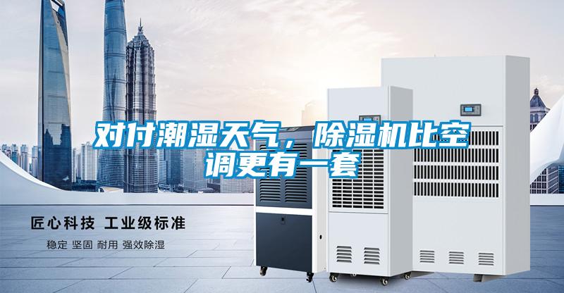 對(duì)付潮濕天氣，除濕機(jī)比空調(diào)更有一套
