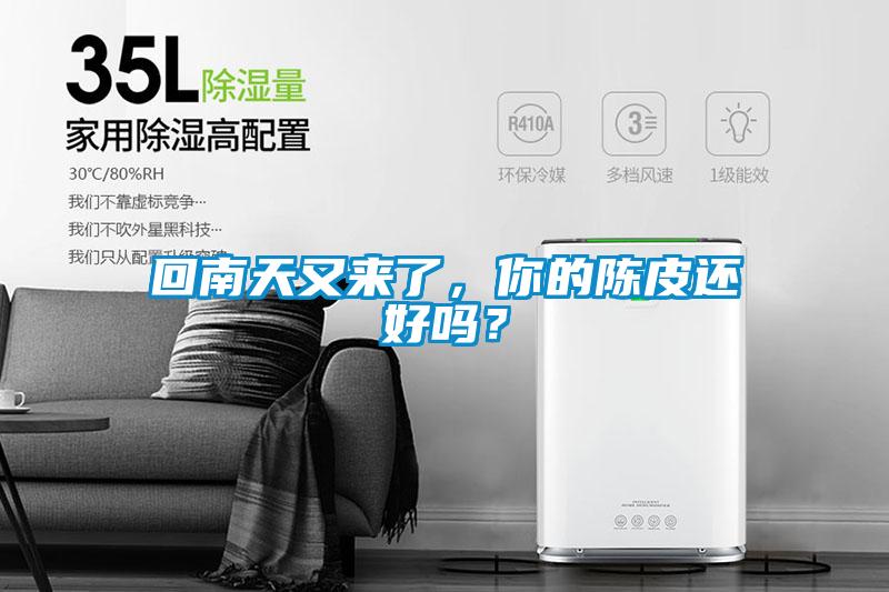 回南天又來(lái)了，你的陳皮還好嗎？