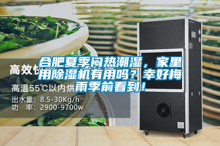合肥夏季悶熱潮濕，家里用除濕機(jī)有用嗎？幸好梅雨季前看到！