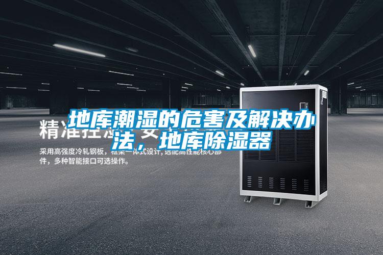地庫潮濕的危害及解決辦法，地庫除濕器