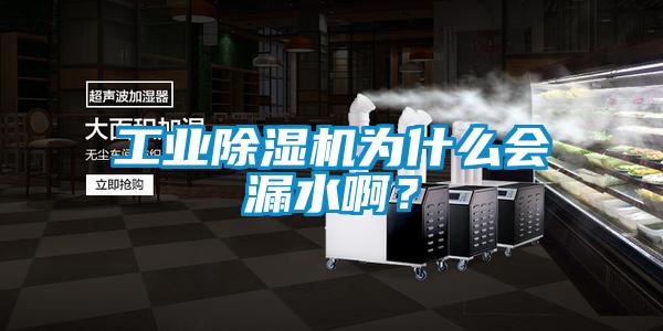 工業(yè)除濕機為什么會漏水??？