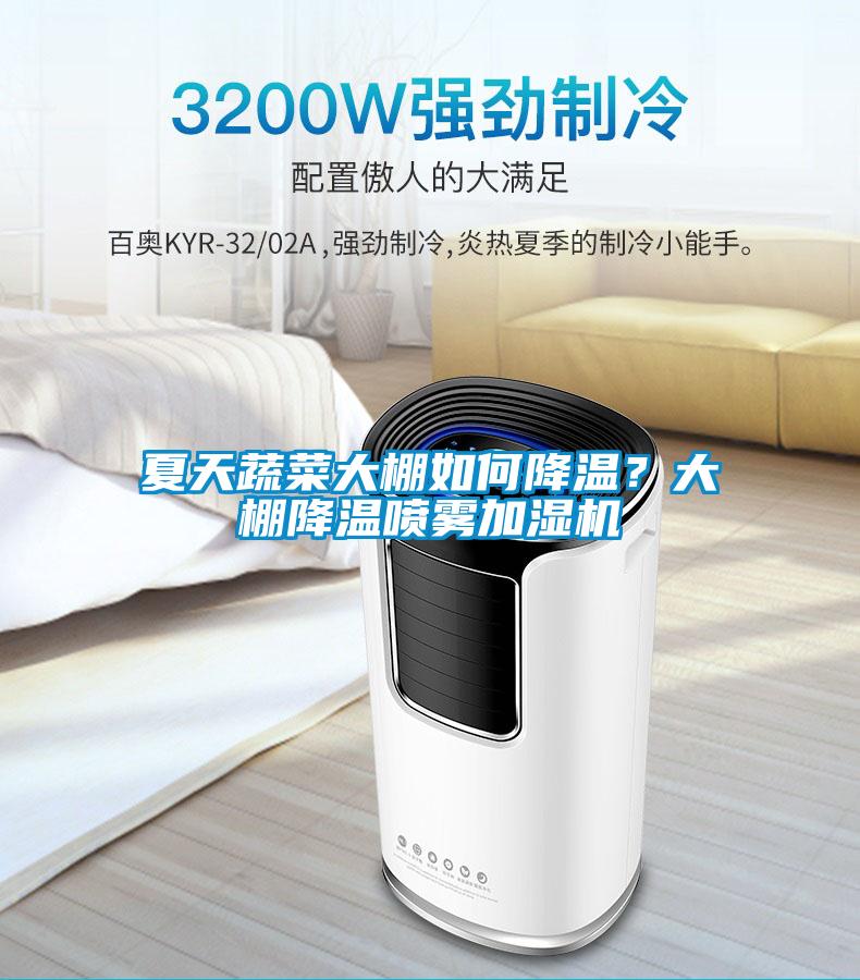 夏天蔬菜大棚如何降溫？大棚降溫噴霧加濕機(jī)