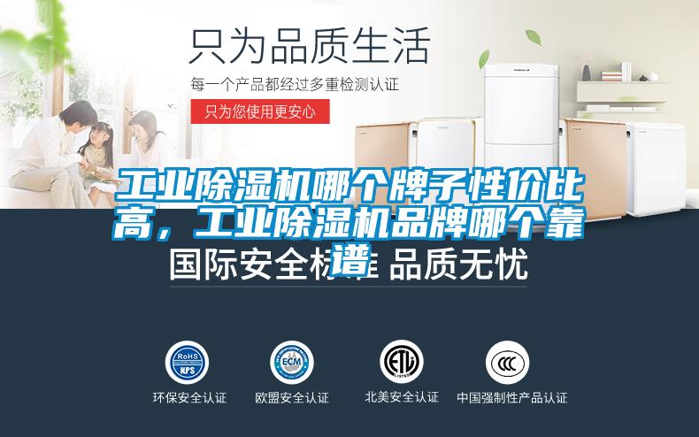 工業(yè)除濕機哪個牌子性價比高，工業(yè)除濕機品牌哪個靠譜