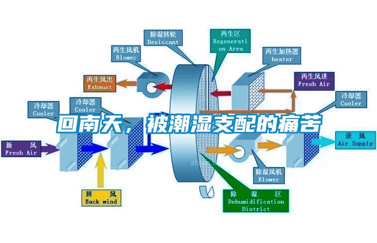 回南天，被潮濕支配的痛苦