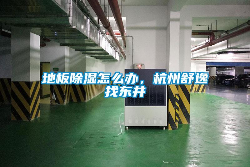 地板除濕怎么辦，杭州舒逸找東井