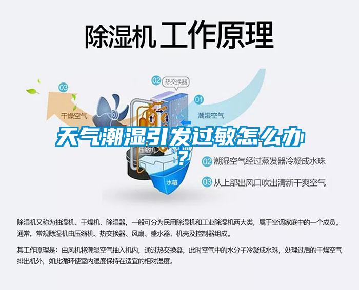 天氣潮濕引發(fā)過(guò)敏怎么辦？