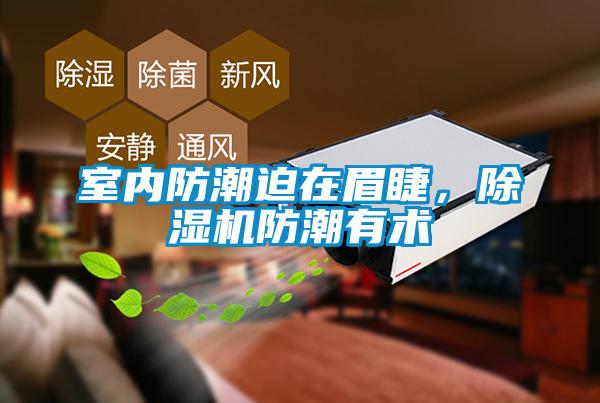 室內防潮迫在眉睫，除濕機防潮有術