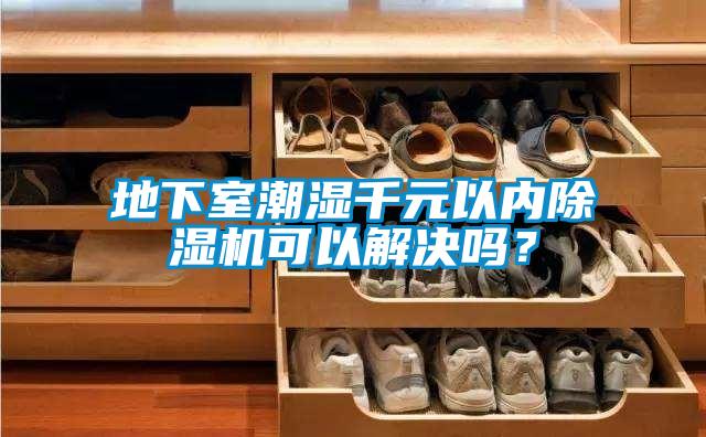 地下室潮濕千元以內(nèi)除濕機(jī)可以解決嗎？