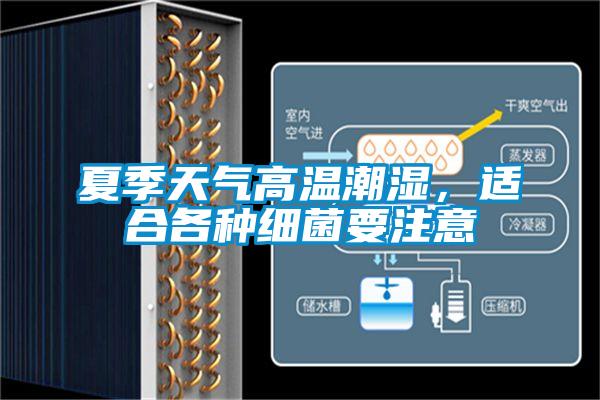 夏季天氣高溫潮濕，適合各種細(xì)菌要注意