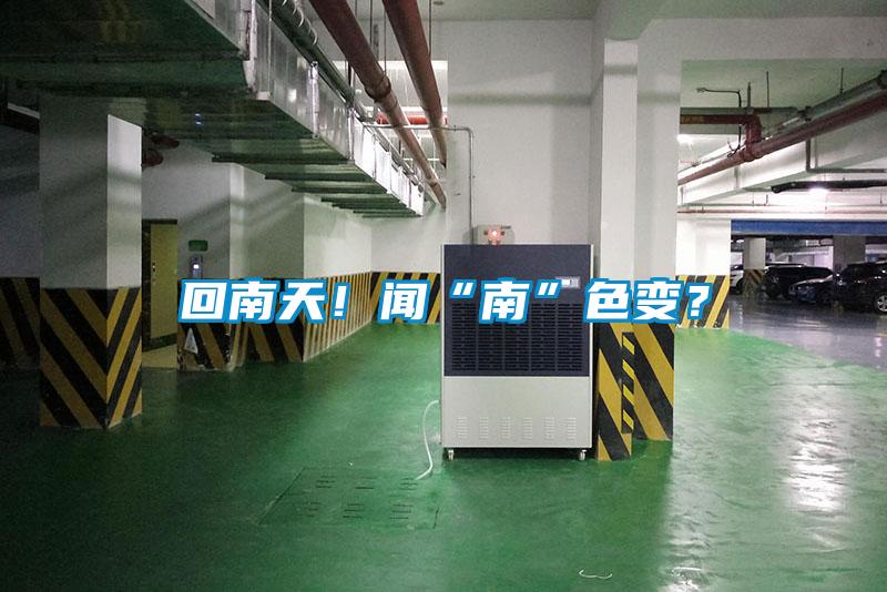 回南天！聞“南”色變？