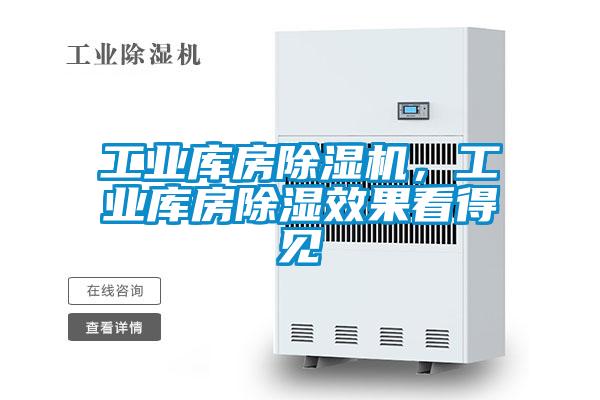 工業(yè)庫房除濕機(jī)，工業(yè)庫房除濕效果看得見