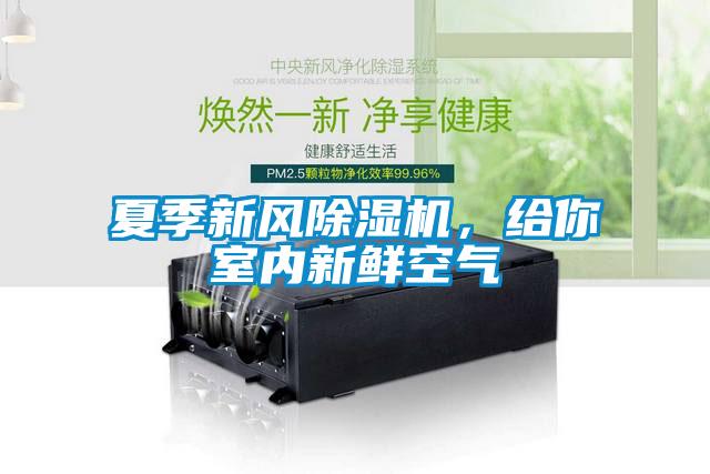 夏季新風(fēng)除濕機(jī)，給你室內(nèi)新鮮空氣
