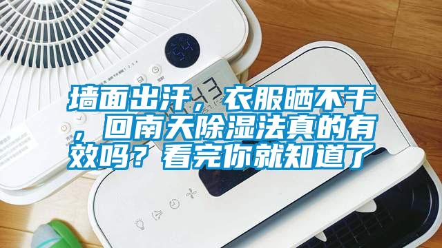 墻面出汗，衣服曬不干，回南天除濕法真的有效嗎？看完你就知道了