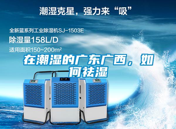 在潮濕的廣東廣西，如何祛濕