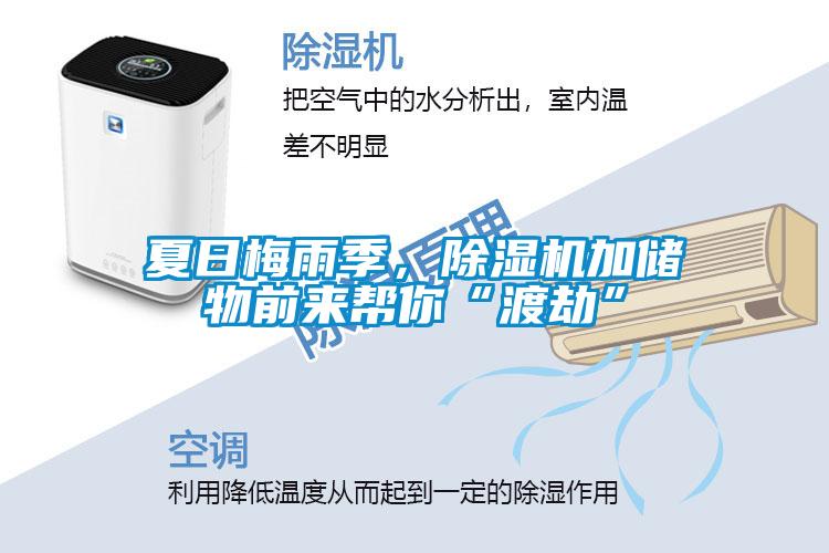 夏日梅雨季，除濕機(jī)加儲物前來幫你“渡劫”