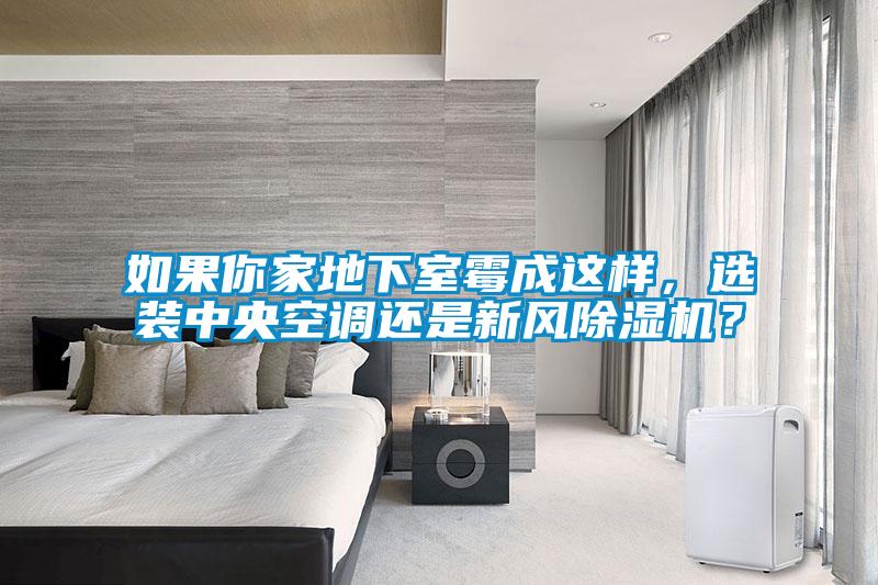 如果你家地下室霉成這樣，選裝中央空調(diào)還是新風除濕機？