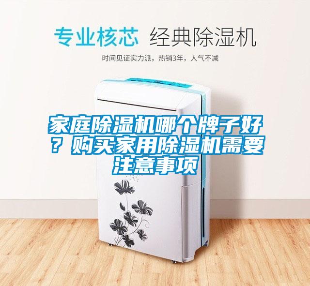 家庭除濕機哪個牌子好？購買家用除濕機需要注意事項