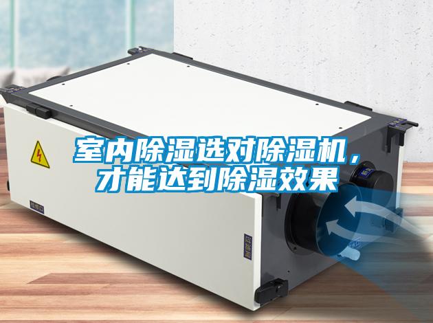 室內(nèi)除濕選對除濕機，才能達到除濕效果