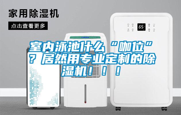 室內(nèi)泳池什么“咖位”？居然用專業(yè)定制的除濕機(jī)?。?！