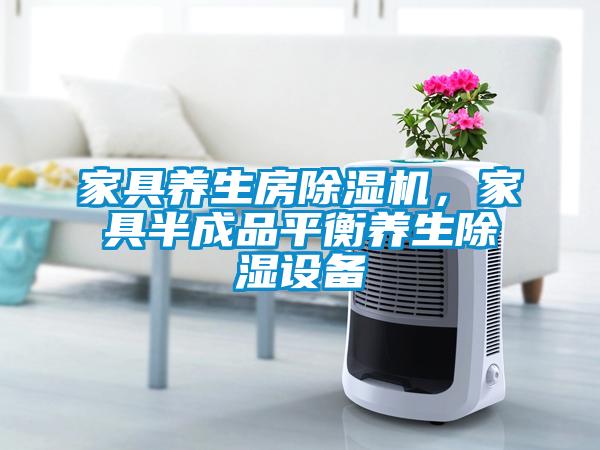 家具養(yǎng)生房除濕機(jī)，家具半成品平衡養(yǎng)生除濕設(shè)備