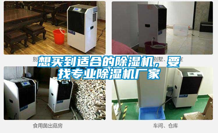 想買到適合的除濕機，要找專業(yè)除濕機廠家
