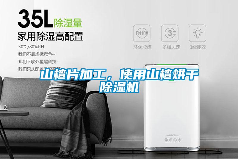 山楂片加工，使用山楂烘干除濕機(jī)