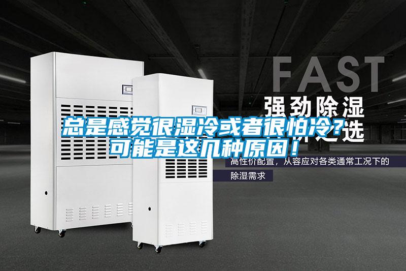 總是感覺很濕冷或者很怕冷？可能是這幾種原因！