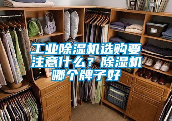 工業(yè)除濕機選購要注意什么？除濕機哪個牌子好