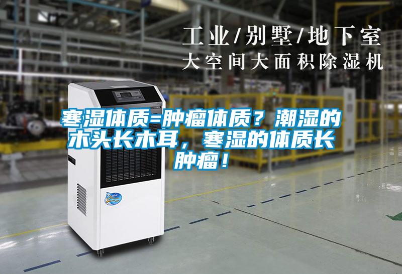 寒濕體質(zhì)=腫瘤體質(zhì)？潮濕的木頭長木耳，寒濕的體質(zhì)長腫瘤！