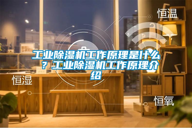 工業(yè)除濕機(jī)工作原理是什么 ？工業(yè)除濕機(jī)工作原理介紹