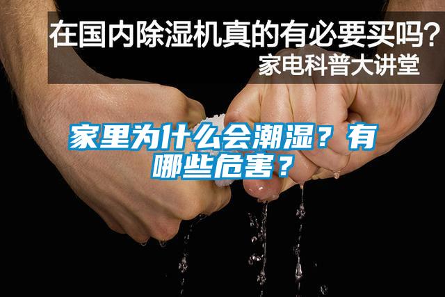 家里為什么會潮濕？有哪些危害？