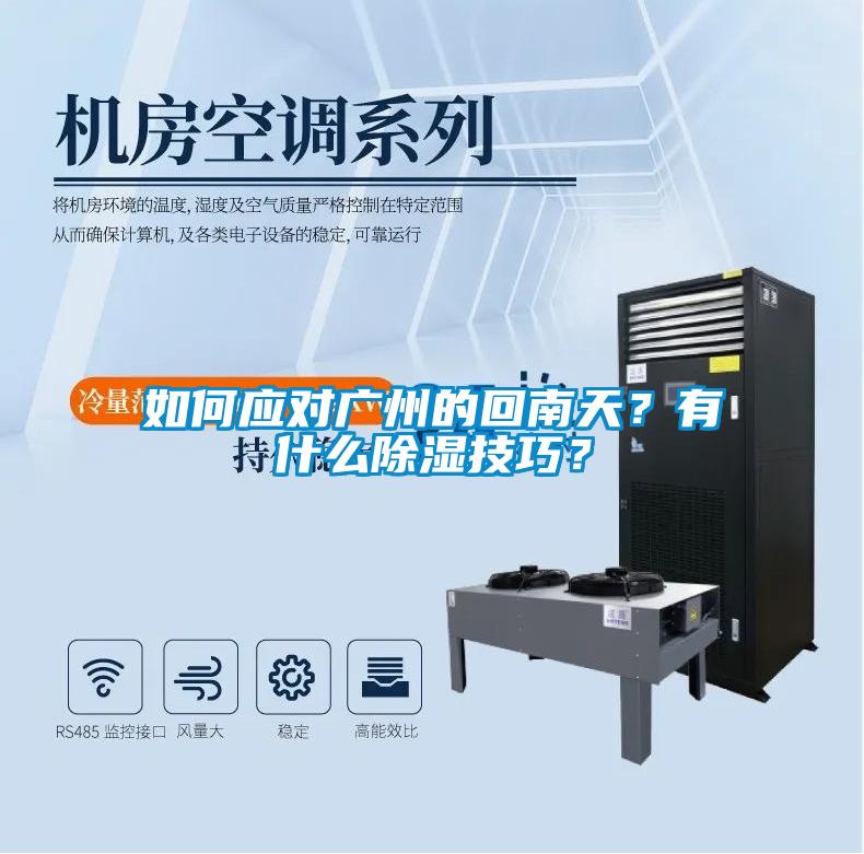 如何應(yīng)對(duì)廣州的回南天？有什么除濕技巧？