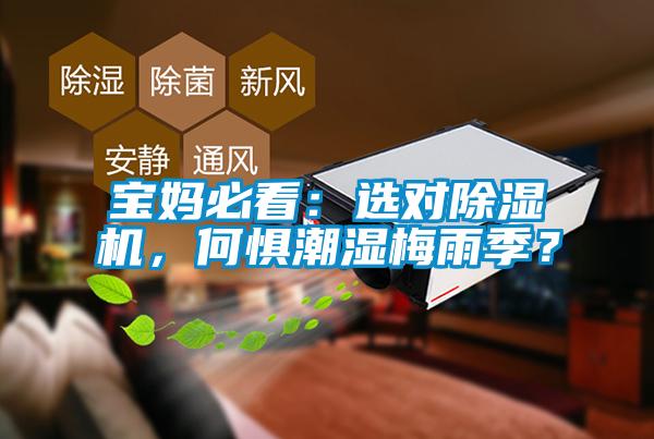寶媽必看：選對(duì)除濕機(jī)，何懼潮濕梅雨季？